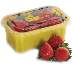 Australian+Sweetest+Batch%26reg%3B+Premium+Strawberries+300g+Punnet