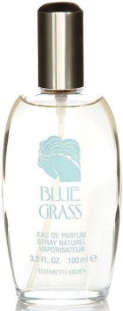 Elizabeth+Arden+Blue+Grass+100mL+EDP