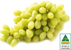 Australian+White+Seedless+Grapes