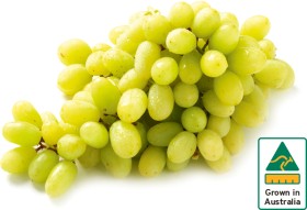 Australian+White+Seedless+Grapes