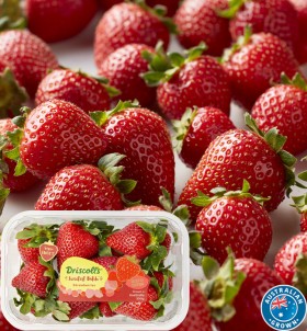 Australian+Premium+Strawberries+350g+Punnet