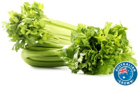 Australian+Celery+Bunch