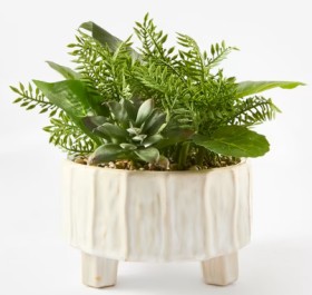 Artificial+Mixed+Foliage+in+Pot