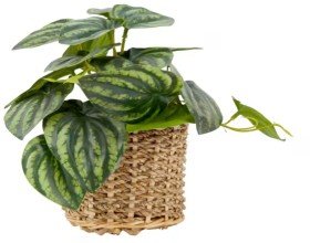 Artificial+Stripe+Leaf+Plant+in+Basket