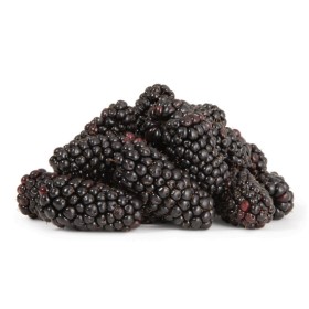 Australian+Blackberries+170g+Punnet