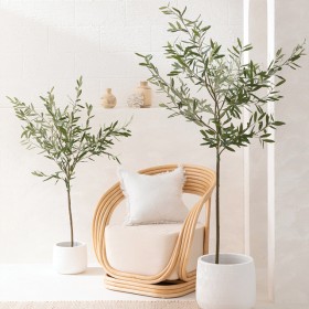 Artificial-Fruitless-Olive-Tree-by-MUSE on sale