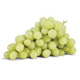 Australian+White+Seedless+Grapes