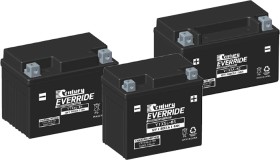 Century-Everride-Powersports-Batteries on sale