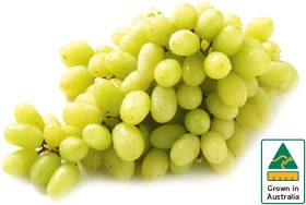 Australian+White+Seedless+Grapes