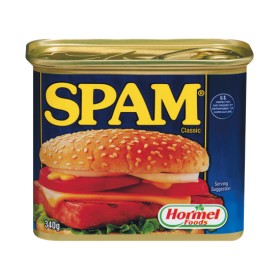 Spam+Canned+Meat+340g