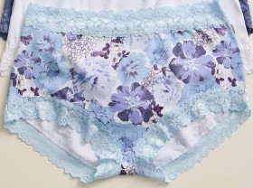 Jockey-Parisienne-and-No-VPL-Brief-Blue-Flower-Printed on sale