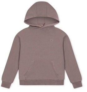 Indie-Kids-by-Industrie-Atwater-Hoodie-Washed-Port on sale