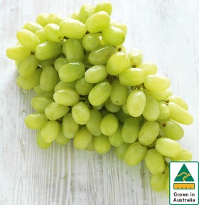 Australian+White+Seedless+Grapes