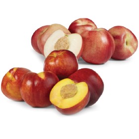 Australian+Yellow+or+White+Nectarines