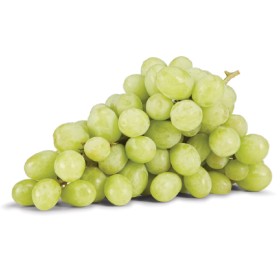 Australian+White+Seedless+Grapes