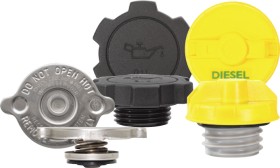 Tridon-Filler-Caps on sale