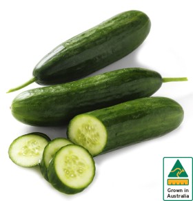 Australian-Lebanese-Cucumber on sale