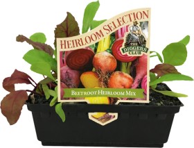 %26lsquo%3BHeirloom%26rsquo%3B+Beetroot+Mix