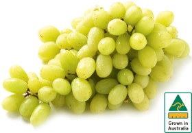 Australian+White+Seedless+Grapes