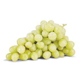 Australian+White+Seedless+Grapes