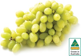 Australian+White+Seedless+Grapes