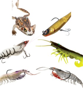 Chasebait+Lures