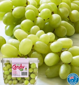 Australian+Cotton+Candy+Grapes+500g+Pack