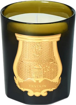 Trudon-Ernesto-Candle-270g on sale
