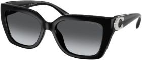 Sunglass-Hut-Coach on sale