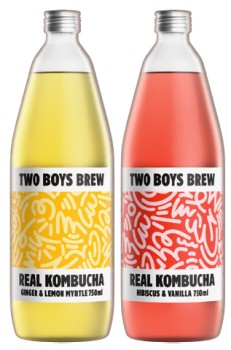 NEW+Two+Boys+Brew+Kombucha+750mL+Selected+Varieties