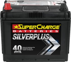 SuperCharge+Silver+Plus+Batteries