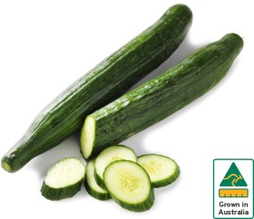 Australian+Continental+Cucumber