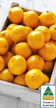 Australian-Imperial-Mandarins on sale