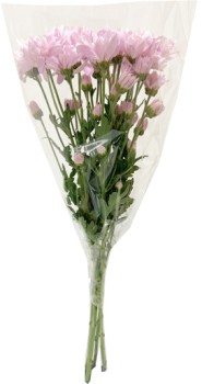 Chrysanthemum+Bunch%2A