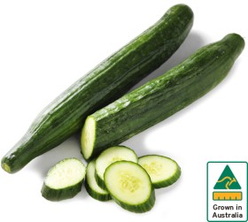 Australian+Continental+Cucumber