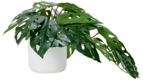 Artificial-Monstera-Plant on sale