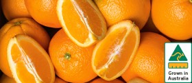 Australian-Navel-Oranges on sale