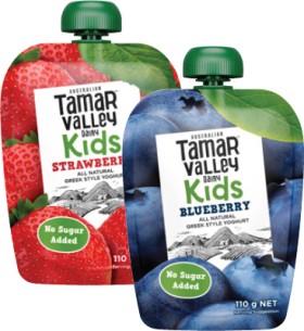 Tamar+Valley+Dairy+Kids+Yoghurt+Pouch+110g