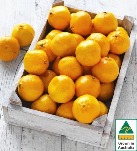 Australian-Mandarins on sale