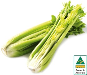 Australian-Celery-Bunch on sale