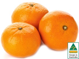 Australian-Mandarins on sale