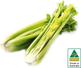 Australian-Celery-Bunch on sale