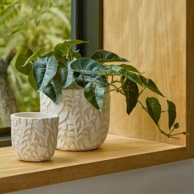 Vine+Natural+Cement+Decorative+Pot+by+Habitat