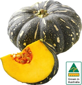 Australian-Kent-Pumpkin on sale