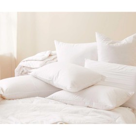 30-off-All-Pillows on sale