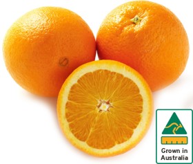 Australian+Navel+Oranges