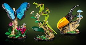 LEGO%26reg%3B+Ideas+The+Insect+Collection+21342