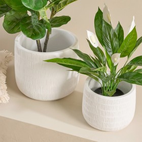 Webster-Planter-by-MUSE on sale