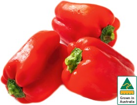 Australian+Red+Capsicum