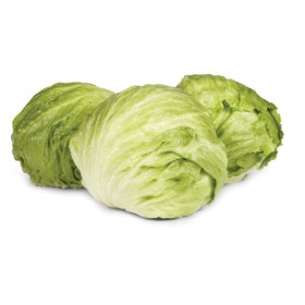 Australian+Iceberg+Lettuce